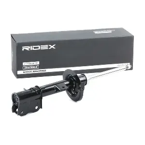 RIDEX 854S1848