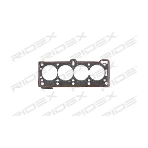 RIDEX 318G0166