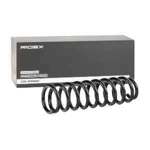 188C0047 RIDEX