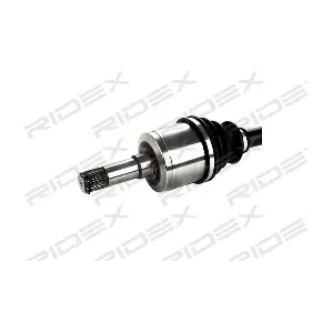 RIDEX 13D0096