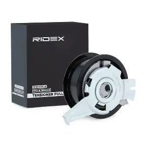 308T0197 RIDEX
