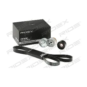 542R0667 RIDEX