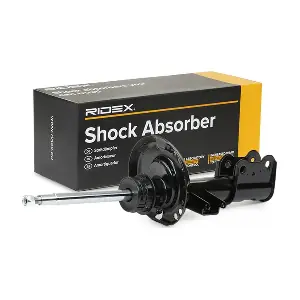 854S1498 RIDEX