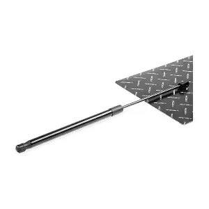 RIDEX 219G0461