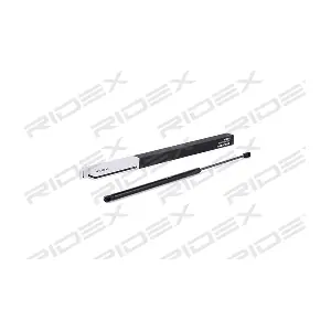 219G0576 RIDEX