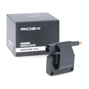 689C0180 RIDEX