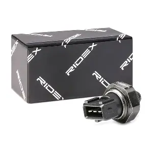 1360P0018 RIDEX