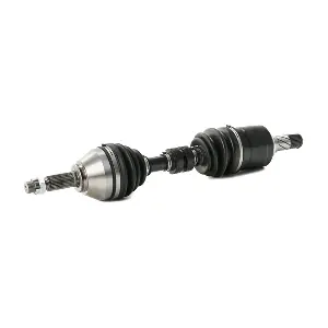 13D0461 RIDEX