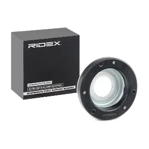 1180S0127 RIDEX