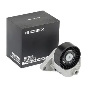 310T0022 RIDEX