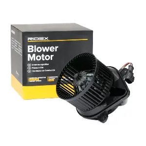 2669I0174 RIDEX