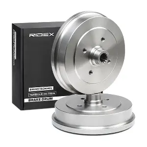 123B0244 RIDEX