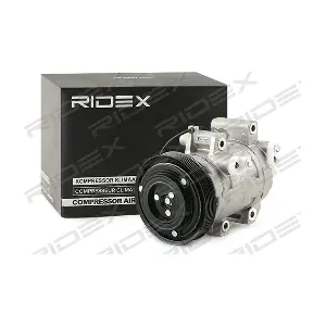 RIDEX 447K0374