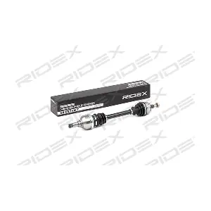13D0307 RIDEX