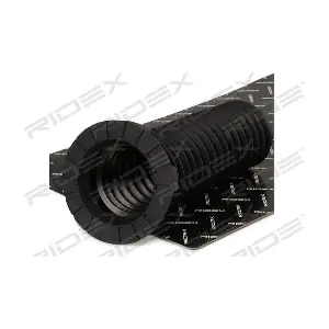 RIDEX 3365P0045