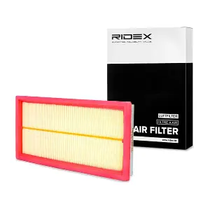 RIDEX 8A0421