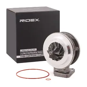 4973C0097 RIDEX