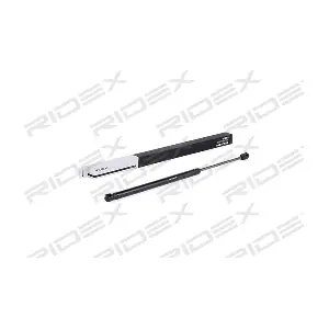 219G0563 RIDEX