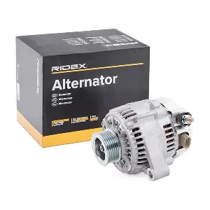 4G0570 RIDEX