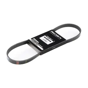 305P0172 RIDEX