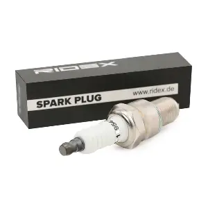 RIDEX 686S0041