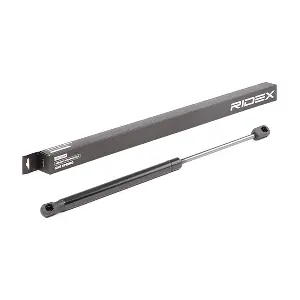 219G0308 RIDEX