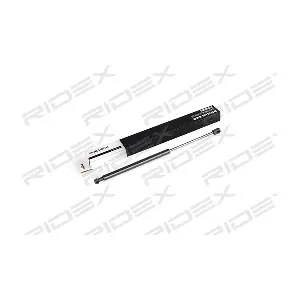 219G0439 RIDEX
