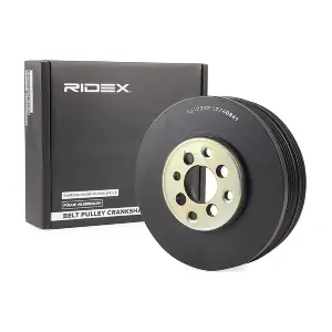 3213B0094 RIDEX