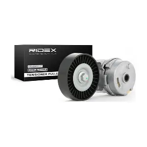 RIDEX 310T0066