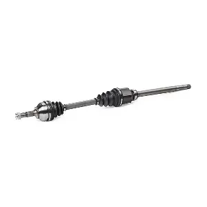 RIDEX 13D0903