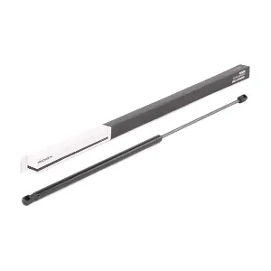 RIDEX 514G0119