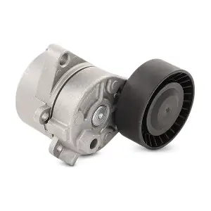 RIDEX 541V0007