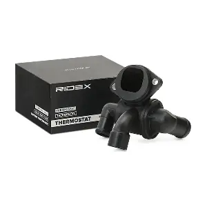 316T0261 RIDEX