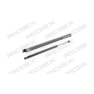219G0902 RIDEX
