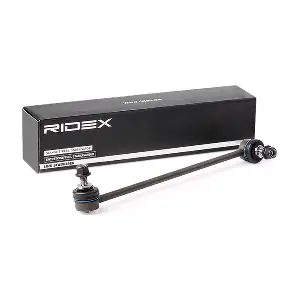 RIDEX 3229S0298