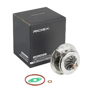 4973C0186 RIDEX