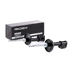 854S1622 RIDEX