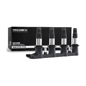 RIDEX 689C0179