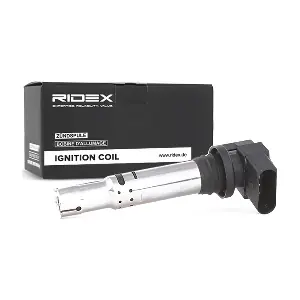 RIDEX 689C0003
