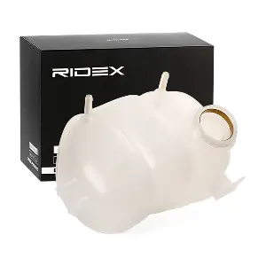 RIDEX 397E0010