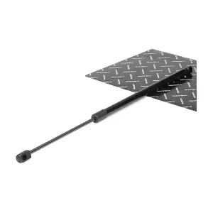 219G0082 RIDEX