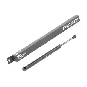 219G0872 RIDEX