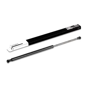 219G0060 RIDEX