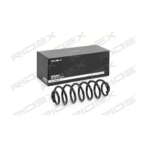 188C0191 RIDEX