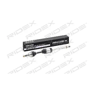 13D0172 RIDEX