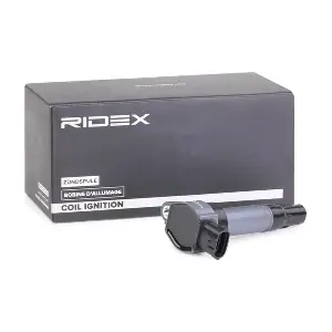 689C0301 RIDEX