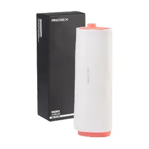 RIDEX 8A0010