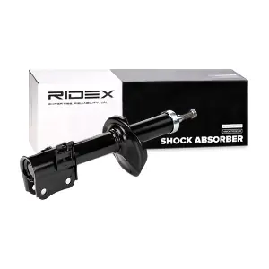 854S1080 RIDEX