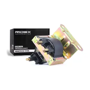 RIDEX 689C0123