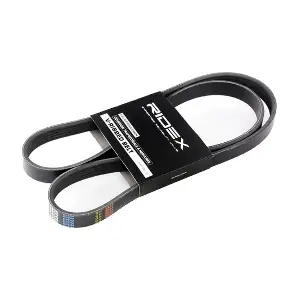 305P0156 RIDEX